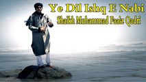 Shaikh Muhammad Faaiz Qadri - | Ye Dil Ishq E Nabi | Naat | Prophet Mohammad PBUH | HD Video