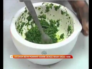 Jus daun betik penawar demam denggi masih dikaji - KMM
