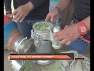 Upah OKU proses daun ketum untuk di eksport