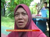 Ulat bulu serang majlis perkahwinan