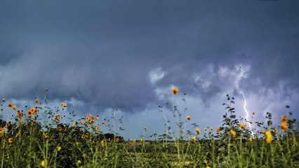 Transient - Un court métrage extraordinaire où la lumière est captée à 1000 images par seconde