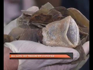 JDKM rampas sisik tenggiling RM9.18 juta di KLIA