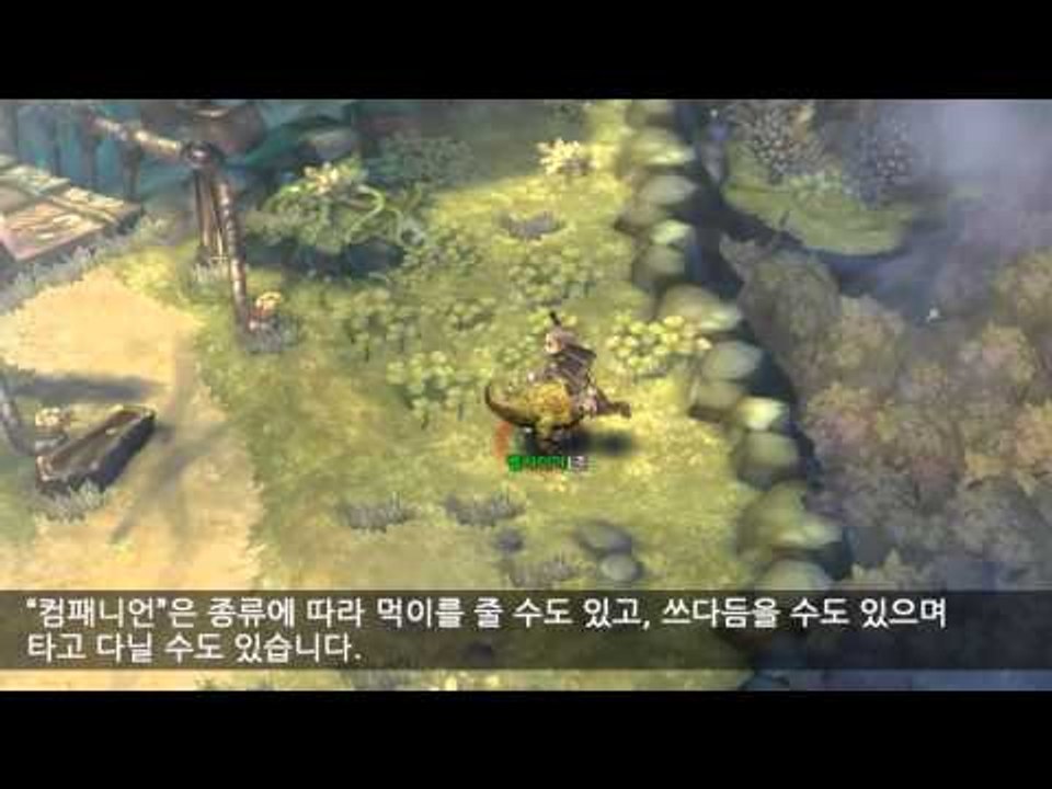 Companion in Tree of Savior