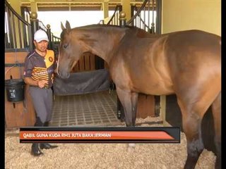 Qabil guna kuda RM1 juta baka Jerman