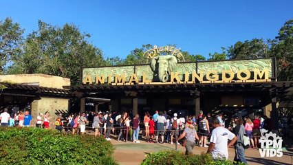 Top 10 Fastest Rides at Walt Disney World