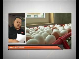 Isu telur tercemar