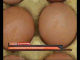 Jamin produk berasas telur Eropah selamat