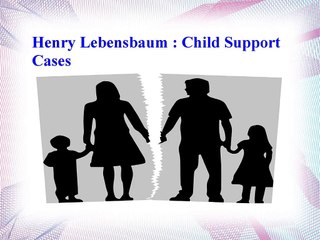 Henry Lebensbaum - Child Support Cases
