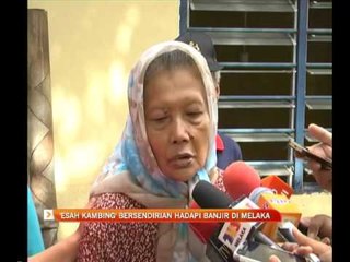 'Esah Kambing' bersendirian hadapi banjir di Melaka