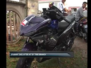 Student dies after hit by tree branch
