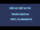 Siêu Gà Việt So Tài: Vinyl vs MidBrave (Tranh hạng ba)