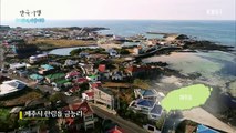 한국기행 - Korea travel_취해볼까 가을 제주 2부 인연을 만나거든_#002