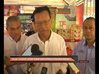 Download Video: Projek tanaman jagung bijirin akan diperluas seluruh negara