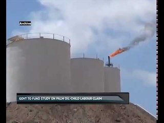 Govt to fund study on palm oil-child labour claim