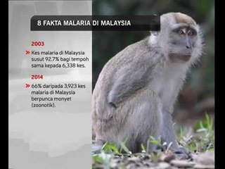 8 fakta malaria di Malaysia