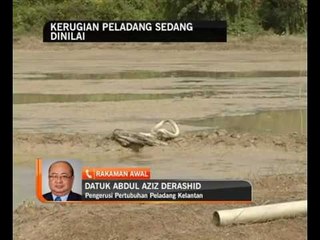 Kerugian peladang sedang dinilai