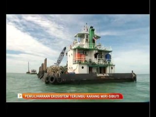 Pemuliharaan ekosistem terumbu karang Miri-Sibuti