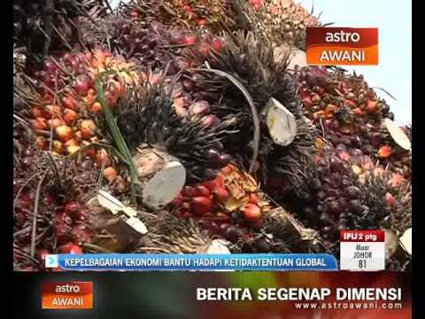 Kepelbagaian ekonomi bantu hadapi ketidaktentuan global