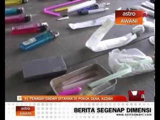 81 penagih dadah ditahan di Pokok Sena, Kedah