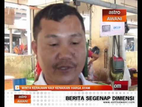 Minta kerajaan kaji kenaikan harga ayam