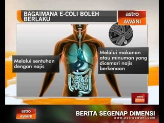 Apa itu jangkitan E-Coli?