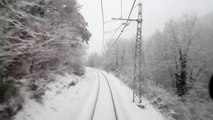 Un train évite de justesse un cheval