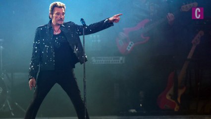 Johnny Hallyday : les chiffres de ce chanteur hors-norme