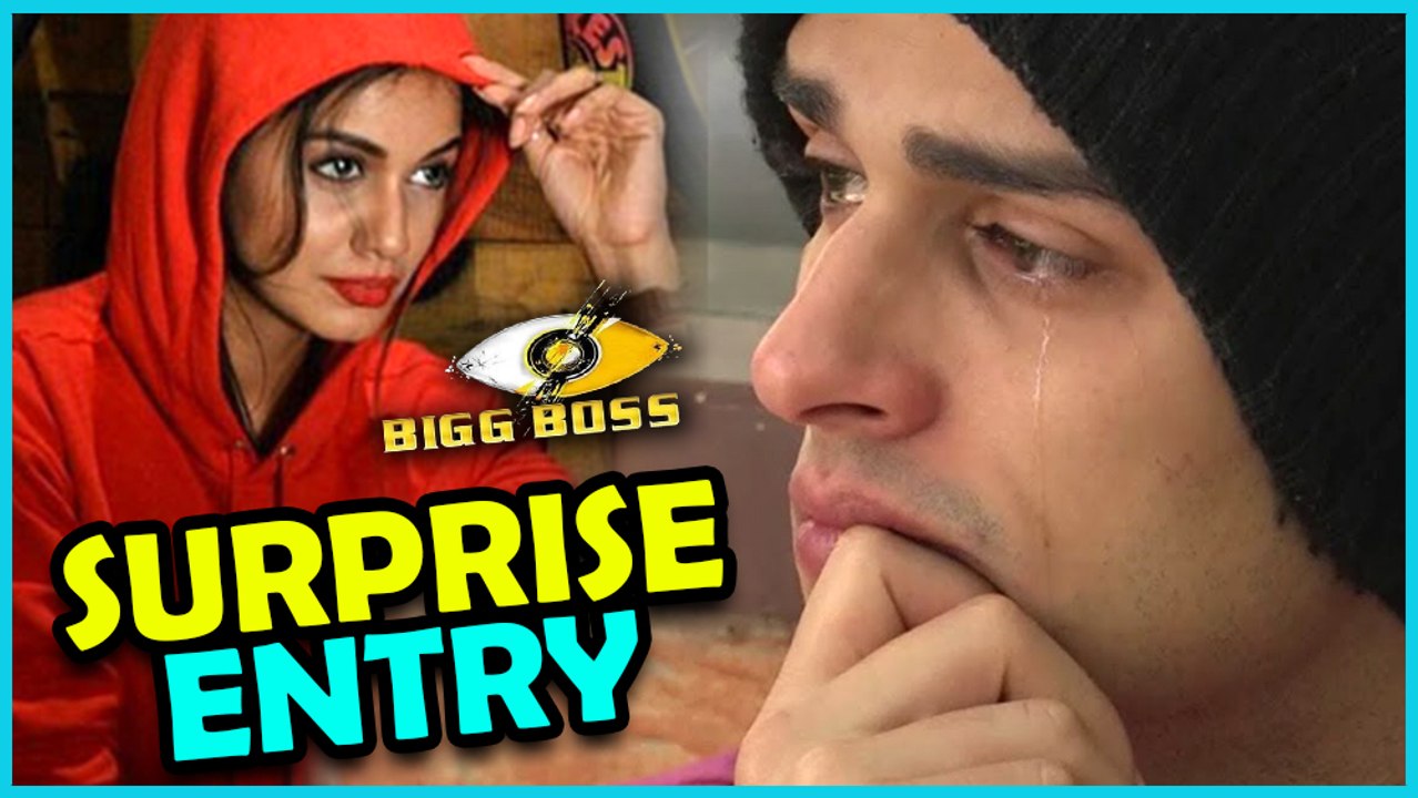Priyank Sharma's EX Girlfriend Divya's SURPRISE ENTRY In Bigg Boss 11 This Week