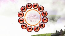 Chinese Sheep 2018 Horoscope Predictions
