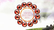 Chinese Horse 2018 Horoscope Predictions