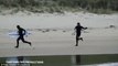 Moment surfes are chased from the ocean by some very bossy seals
