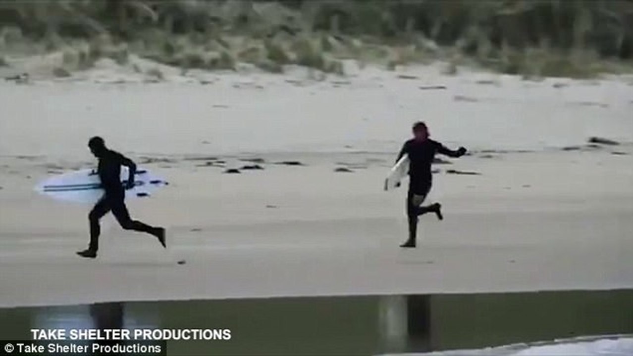 Moment surfes are chased from the ocean by some very bossy seals