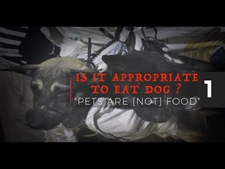 Is it appropriate to eat dog? Series 01: Pets are (not) food