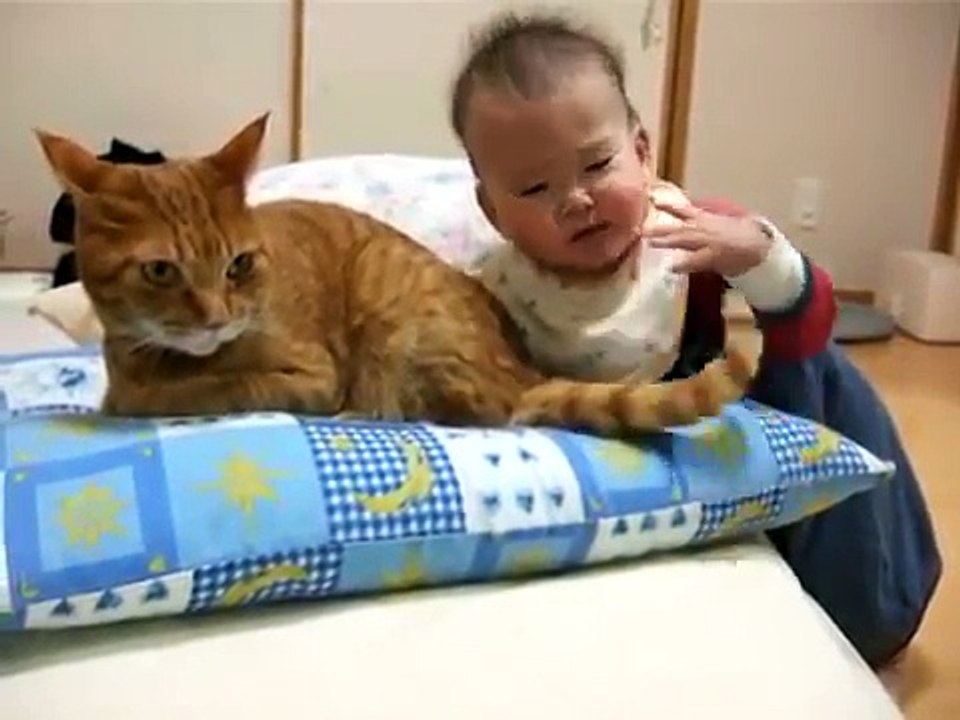 kedinin kuyruğunu ısıran bebek