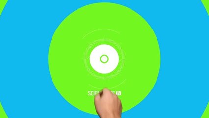 Elles pensent ! Révélations sur l'intelligence des plantes