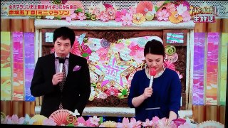 オールスター感謝祭2017　赤坂5丁目ミニマラソン 2017年4月8日