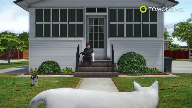 Anciana confunde zarigüeya con un gato: Zarigüeya es adoptada por una abuelita - TomoNews