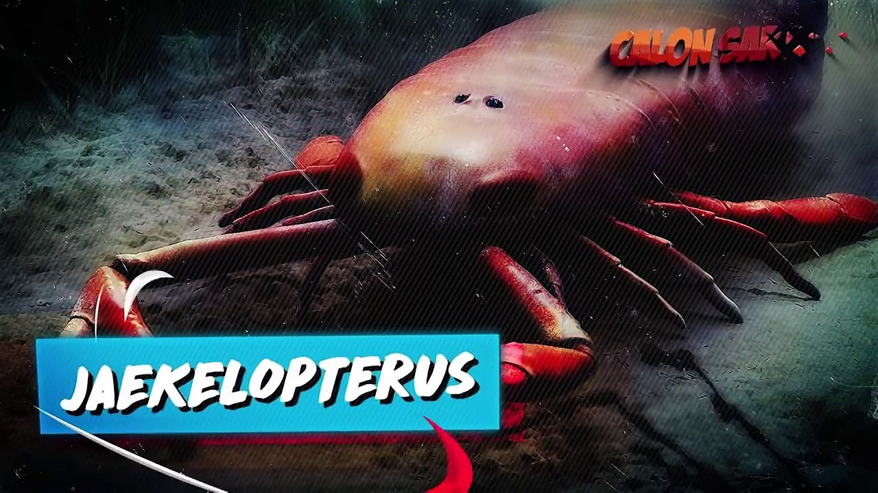 10 MONSTER PRA-SEJARAH PALING MENGERIKAN YANG UNTUNGNYA UDAH DINYATAKAN PUNAH!!!
