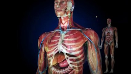 8 RAHASIA MENGAGETKAN & MENGERIKAN TENTANG McDONALD YANG SEHARUSNYA TIDAK KALIAN TAU!!!