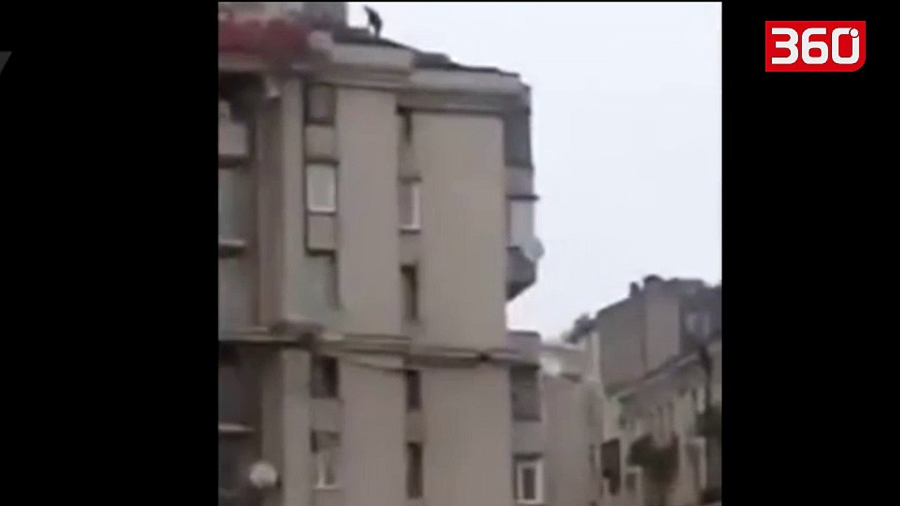 Këshilltari i Edi Ramës kërcënon me vetëvrasje (360video)