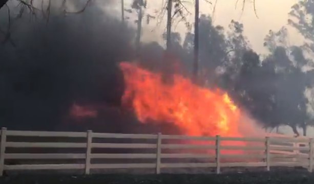 Rapidly Growing Fire Destroys Ranch in North Los Angeles