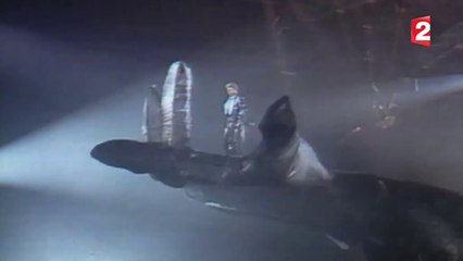 [EXTRAIT] « Johnny Hallyday, la France Rock’n Roll » - 07/12/2017