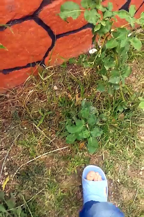 Suluovanin en zengin balicisi