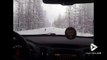 Des loups courent sur une route enneigée en Alaska devant la voiture !