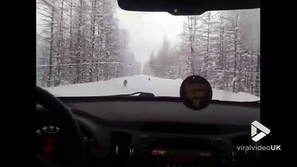 Download Video: Des loups courent sur une route enneigée en Alaska devant la voiture !