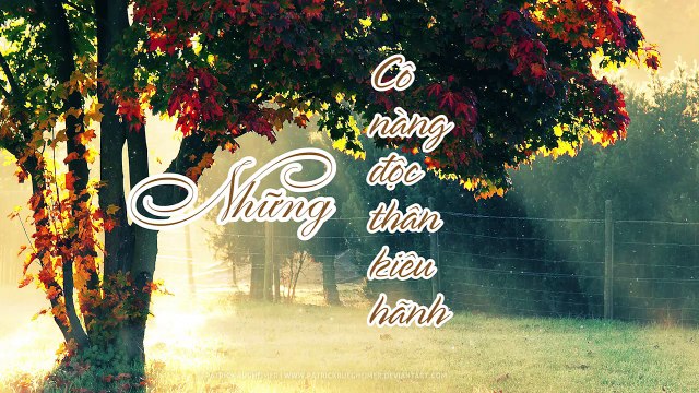 Radio đêm muộn: Những cô nàng độc thân kiêu hãnh