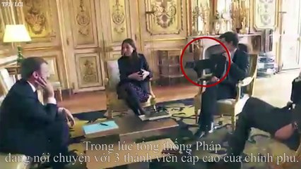 Chó cưng của TT Pháp thản nhiên đi tiểu trong Điện Elysée