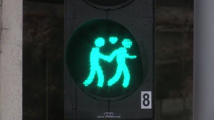 오스트리아, 동성결혼 허용...유럽 16번째 국가 / YTN