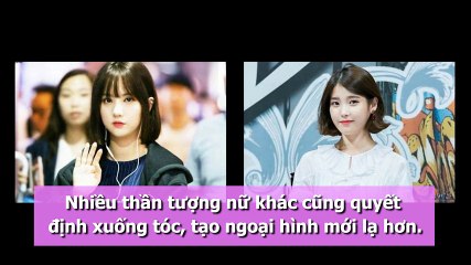 Những idol nữ Hàn nổi tiếng với kiểu đầu bob