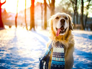 Sno' Way: 8 Reasons Why We're Obsessed with the White Stuff